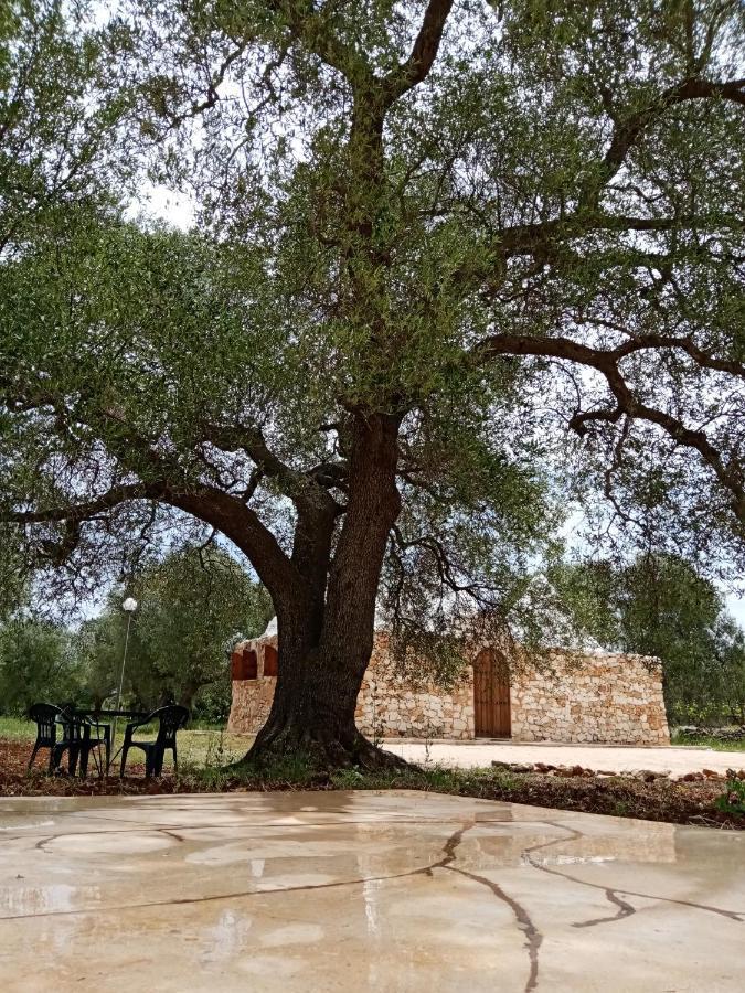 Trulli Monte Madre Villa San Vito dei Normanni Buitenkant foto
