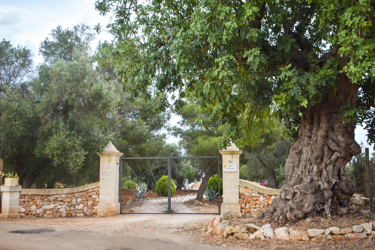 Trulli Monte Madre Villa San Vito dei Normanni Buitenkant foto